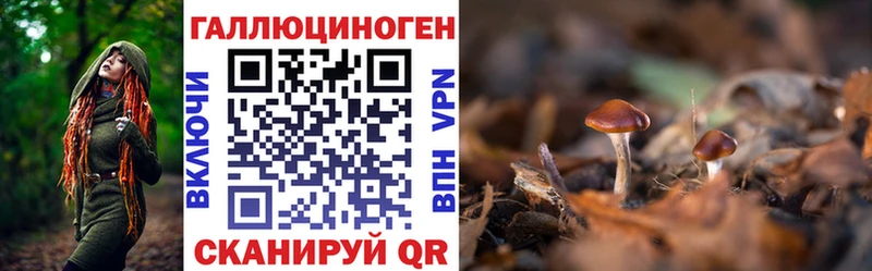 Галлюциногенные грибы GOLDEN TEACHER  Купить где  Углич 